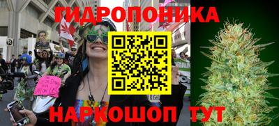 ECSTASY Краснознаменск