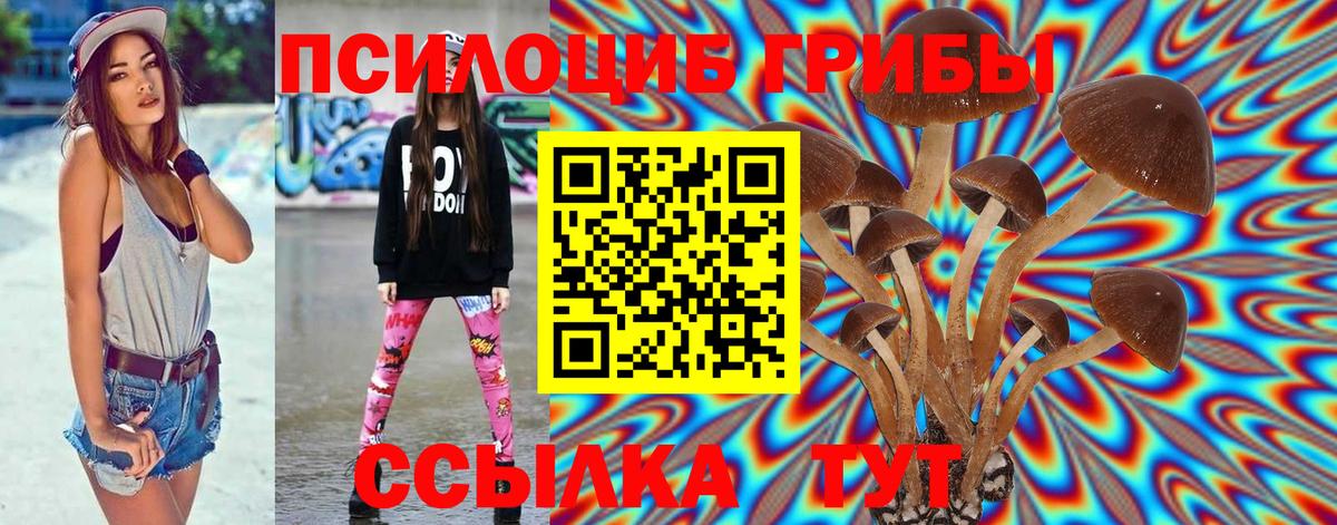 Фурманов  Галлюциногенные грибы Psilocybine cubensis  Вход с VPN 